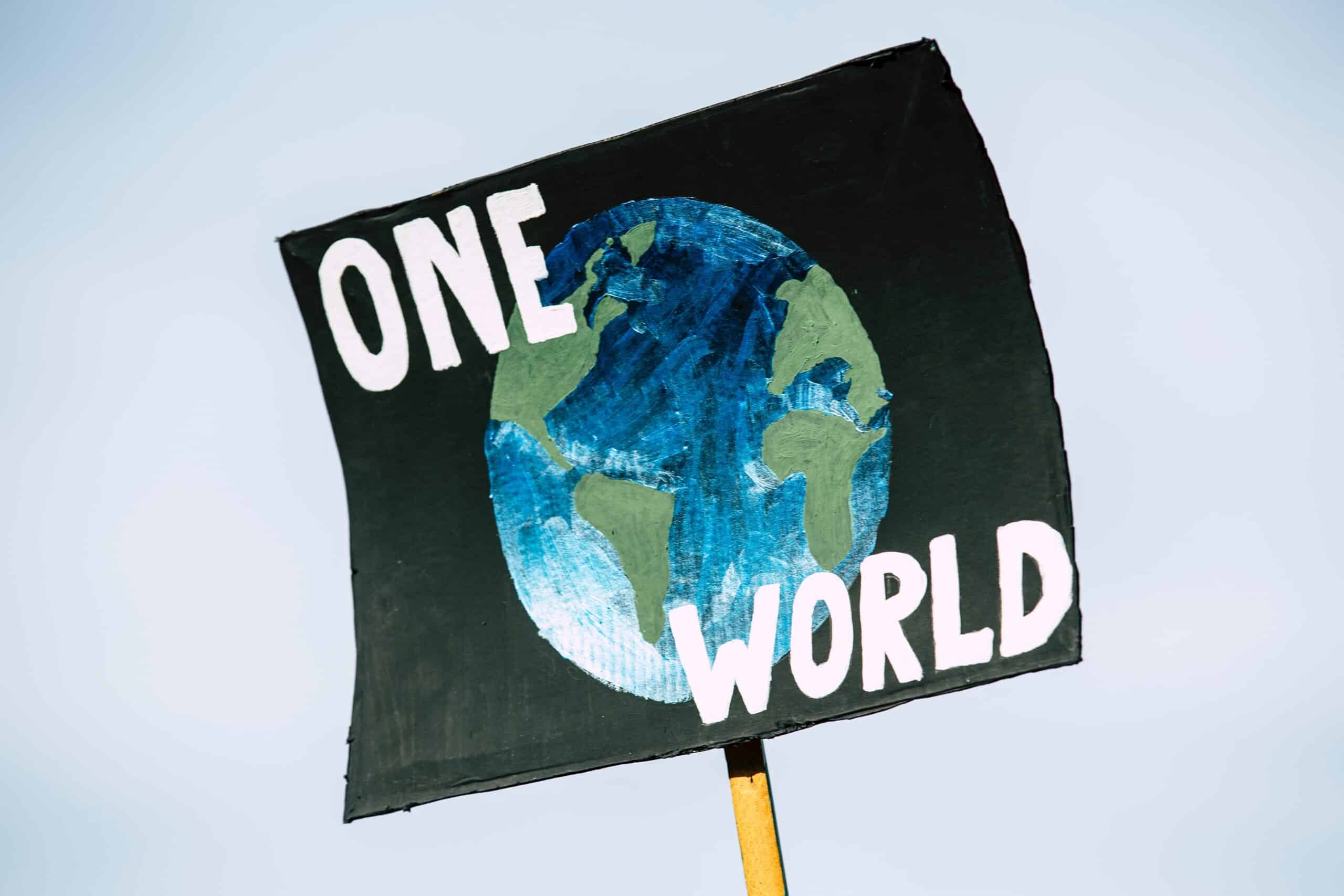 Larger pension schemes clear plan to achieve net zero - Professional ...